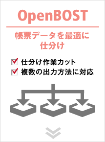 OpenBOST [f[^œKɎd